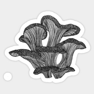 Oyster Sticker